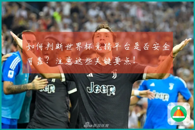 如何判断世界杯竞猜平台是否安全可靠？注意这些关键要点！
