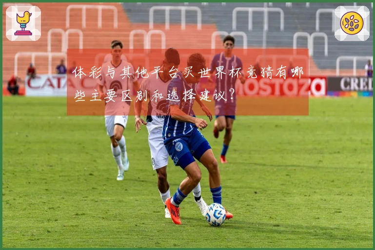 体彩与其他平台买世界杯竞猜有哪些主要区别和选择建议？