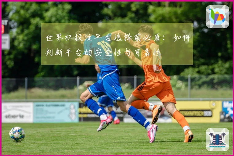 世界杯投注平台选择前必看：如何判断平台的安全性与可靠性
